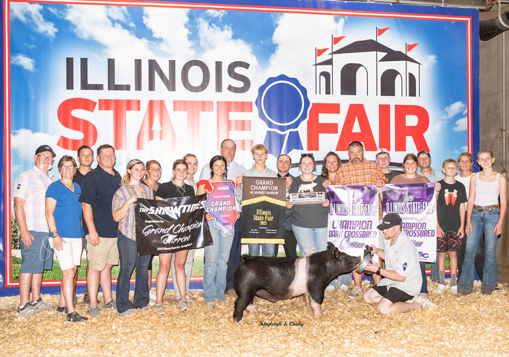 Grand Champion Barrow Illinois State Fair Trevor Rhoads