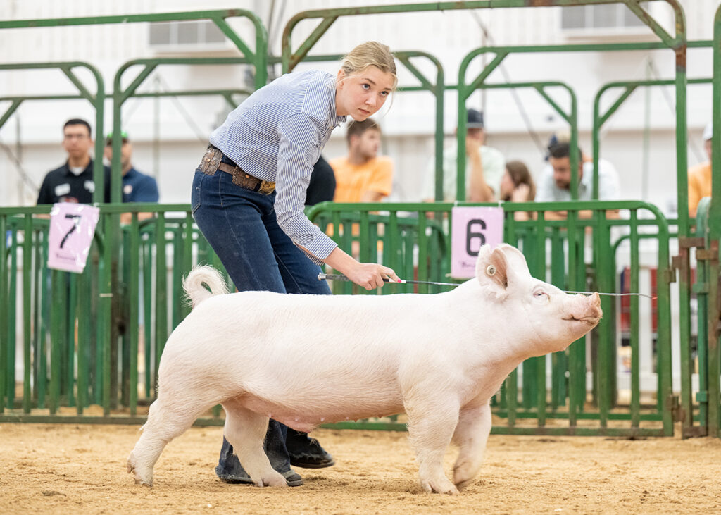 1st Class 1 Yorkshire Barrow