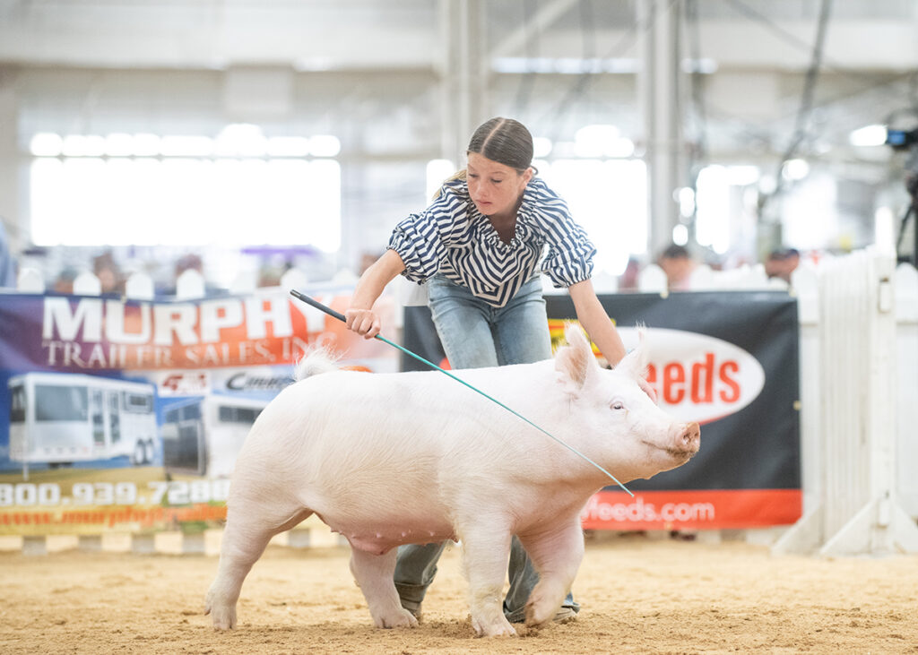 2nd Place Class 6 Yorkshire Barrow