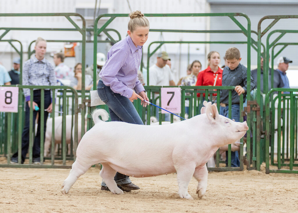3rd Overall Division 2 Yorkshire Gilt