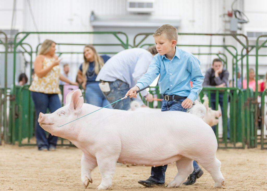 4th Overall Division 3 Yorkshire Gilt