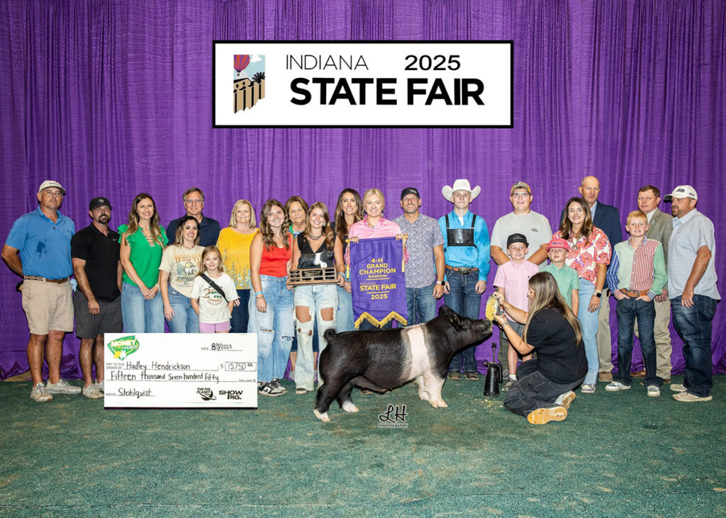 Grand Champion Barrow Indiana