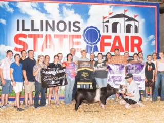 Grand Champion Barrow Illinois State Fair Trevor Rhoads