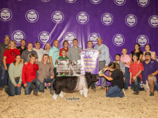MLE Reserve Grand Champion Market Hog Mason Trattles