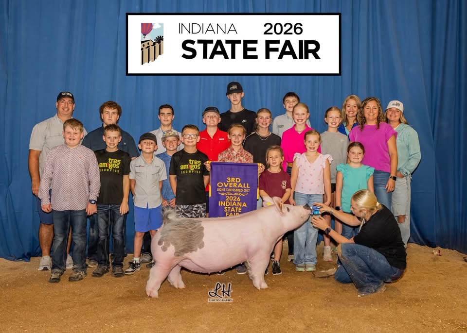 3rd Overall Light Crossbred Gilt