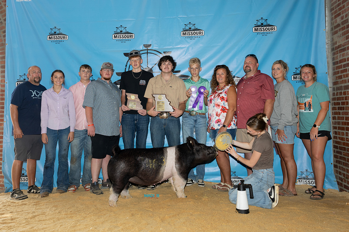 4th Overall Crossbred Gilt