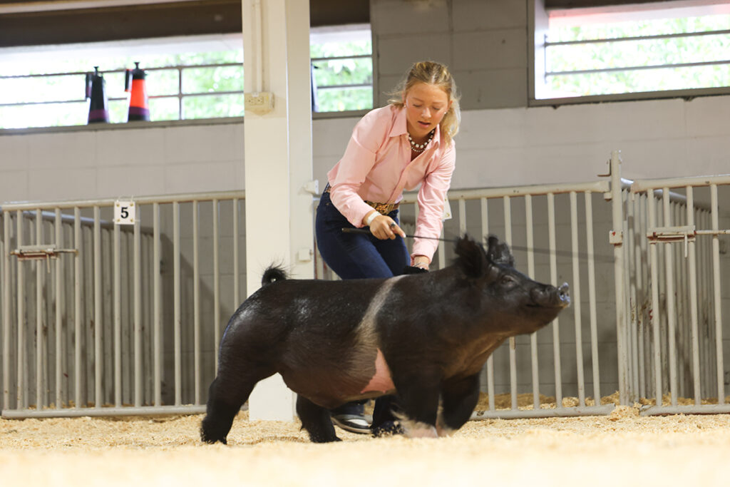 Champion Lightweight Crossbred Barrow - Wisconsin State Fair - Lexy Popp