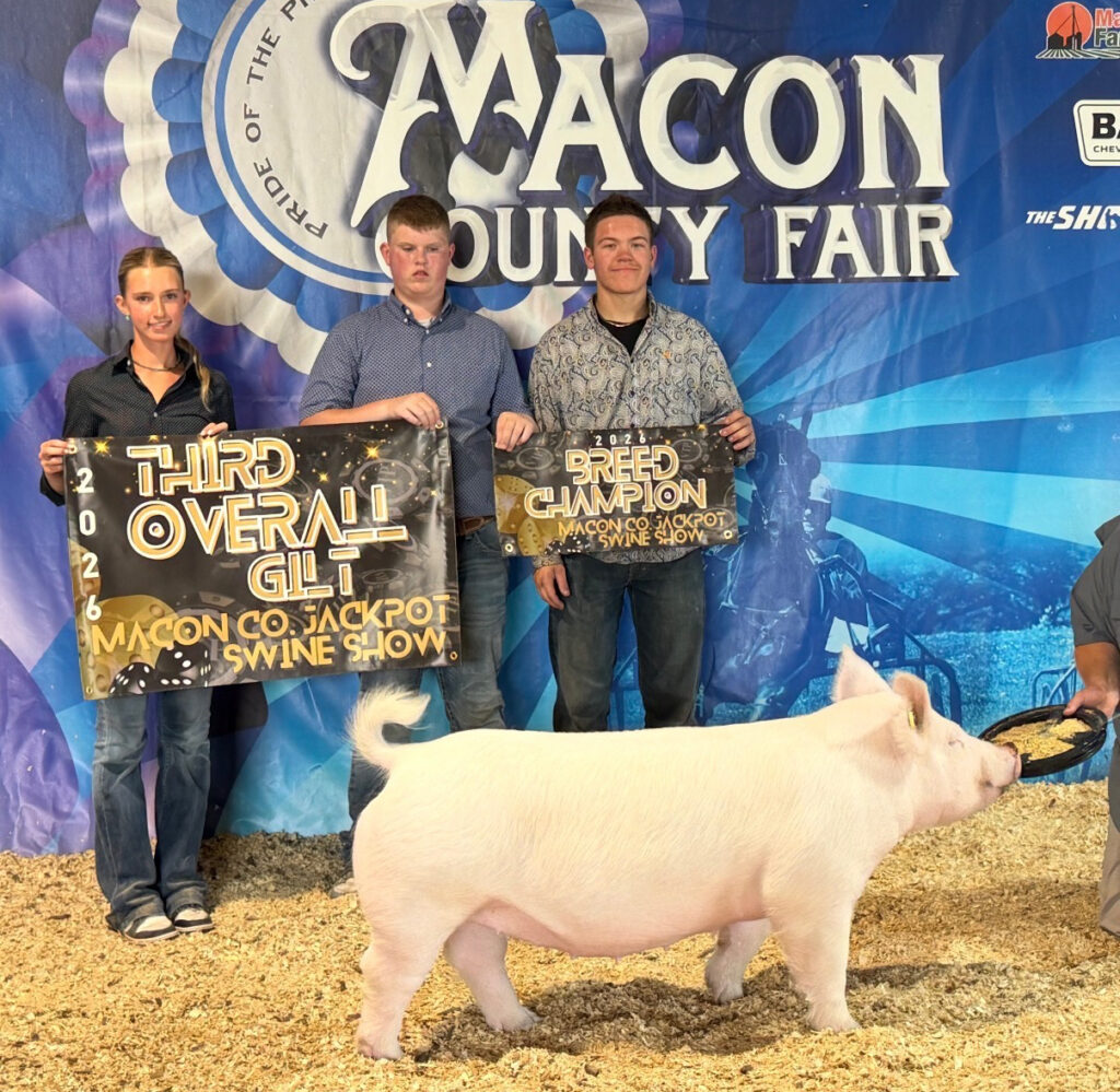 Champion Yorkshire Gilt 3rd Overall - Macon County Fair - Parker Frueh