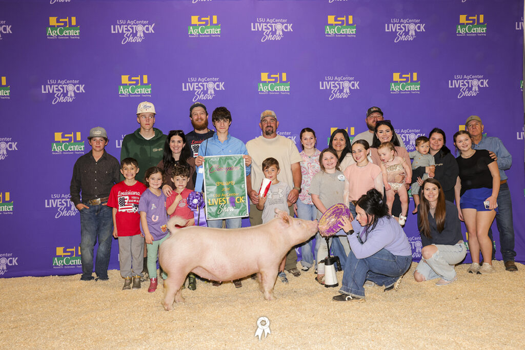 Champion Yorkshire Gilt - LSU Livestock Show - Jaxson Taylor