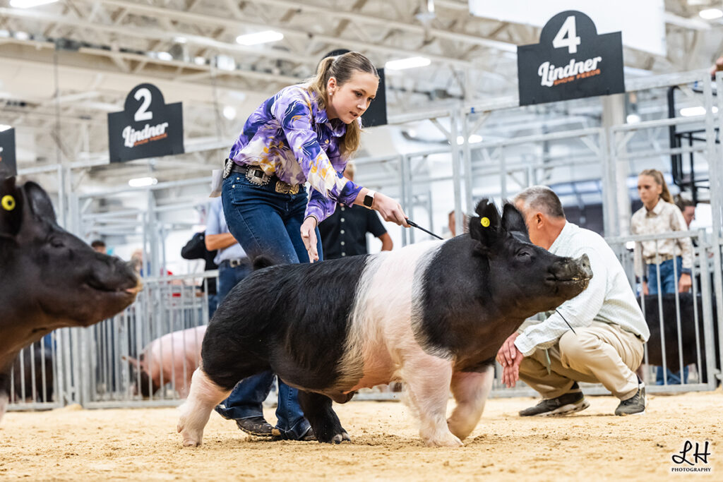 Class Winner Crossbred Barrow - Indiana State Fair - Maddie Millett