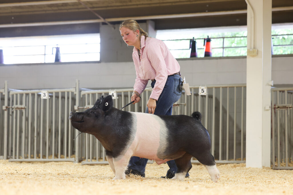 Class Winner Crossbred Barrow - Wisconsin State Fair - Remie Nyffenegger Wiscon