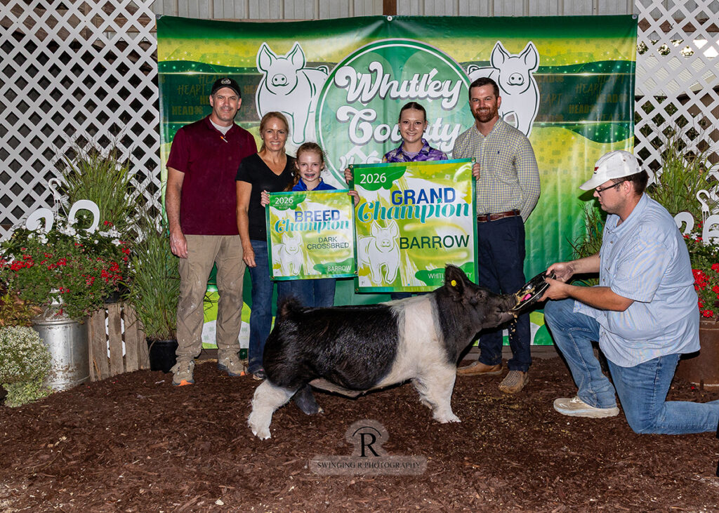 Grand Champion Barrow - Whitley County Fair IN - Maddie Millett Family