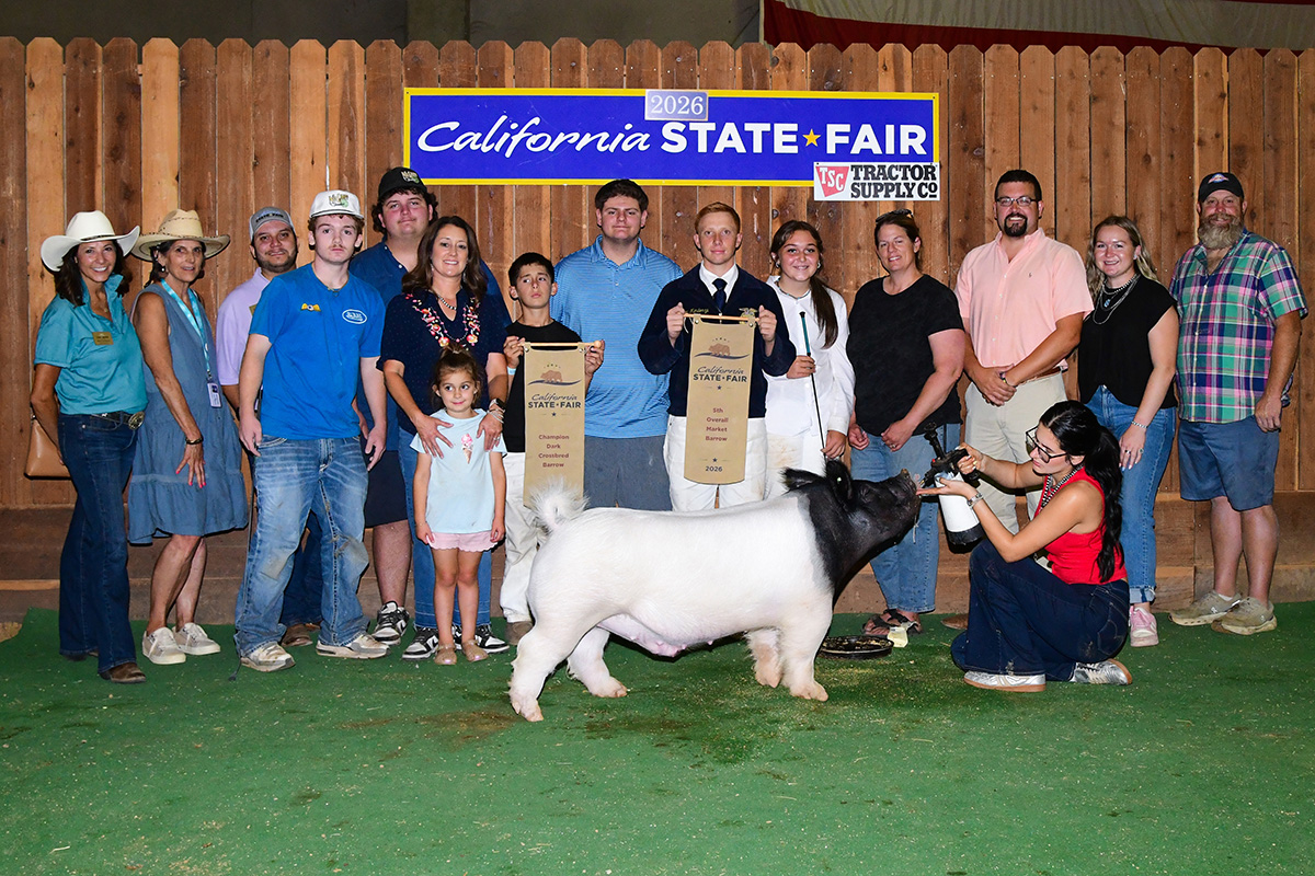 Grand Champion Dark Cross 5th Overall Barrow