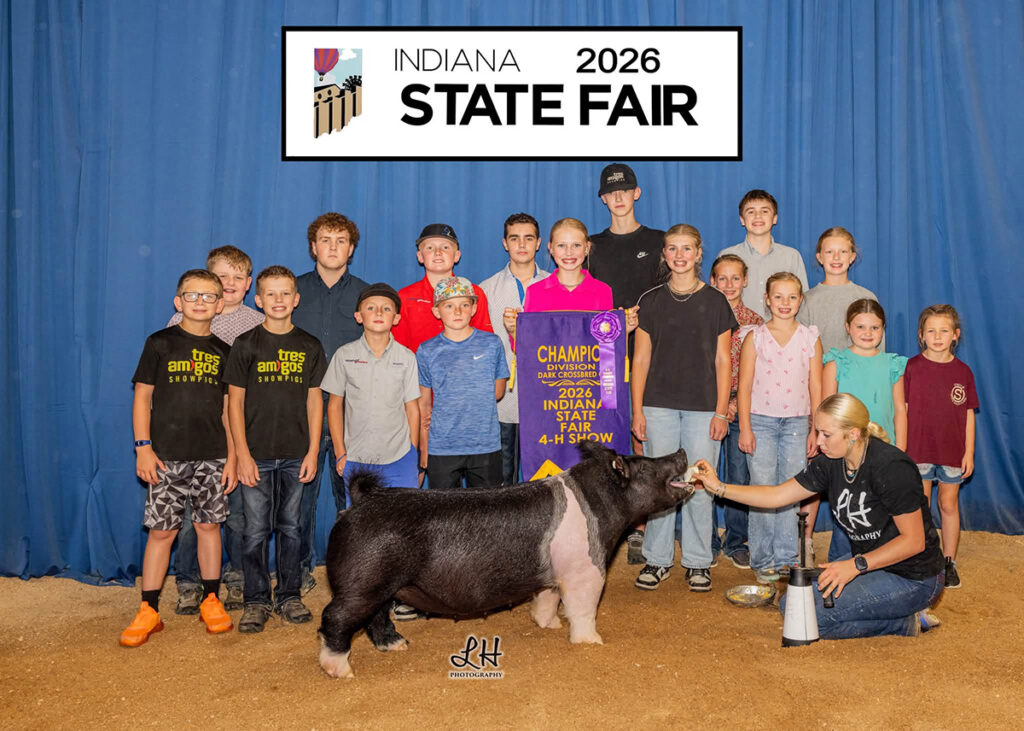 Grand Champion Division 2 Crossbred Gilt - Indiana State Fair - Hallie Hege Makin X Tricked Out