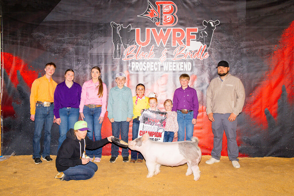 Grand Champion Gilt Champion Light Cross - UWRF Block and Bridle WI - Hasely Crouch