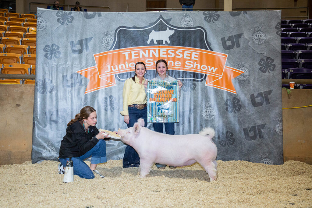 Reserve Grand Champion Champion Yorkshire - Tennessee Junior Swine Show - Lillie White