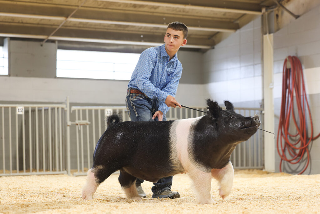 Reserve Lightweight - Wisconsin State Fair - Ruhn Boobe