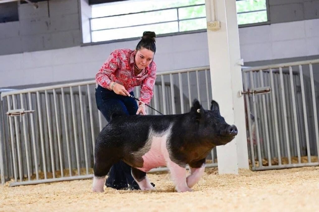 Reserve Middle Weight Champion - Wisconsin State Fair - Jacey Tibbits